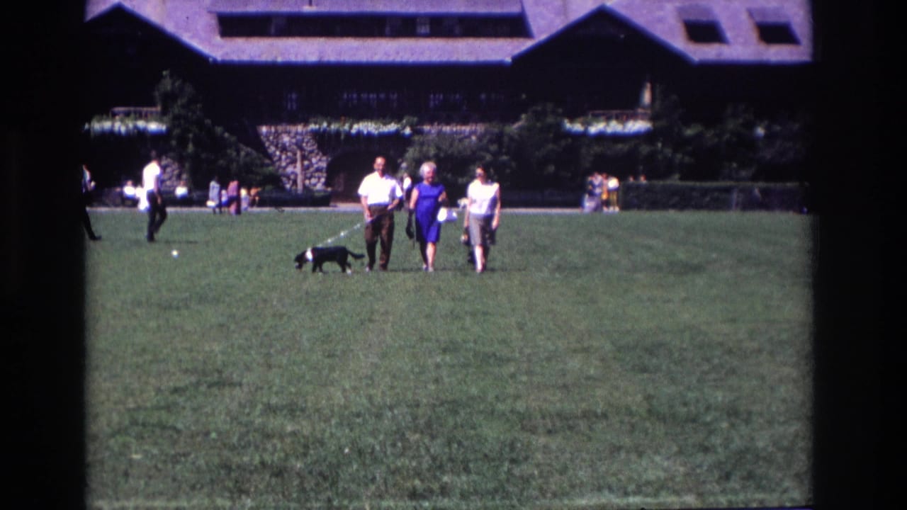 In Ocean City, New Jersey, 1968, three adults walk a leashed black and white dog across a sunny grassy lawn.