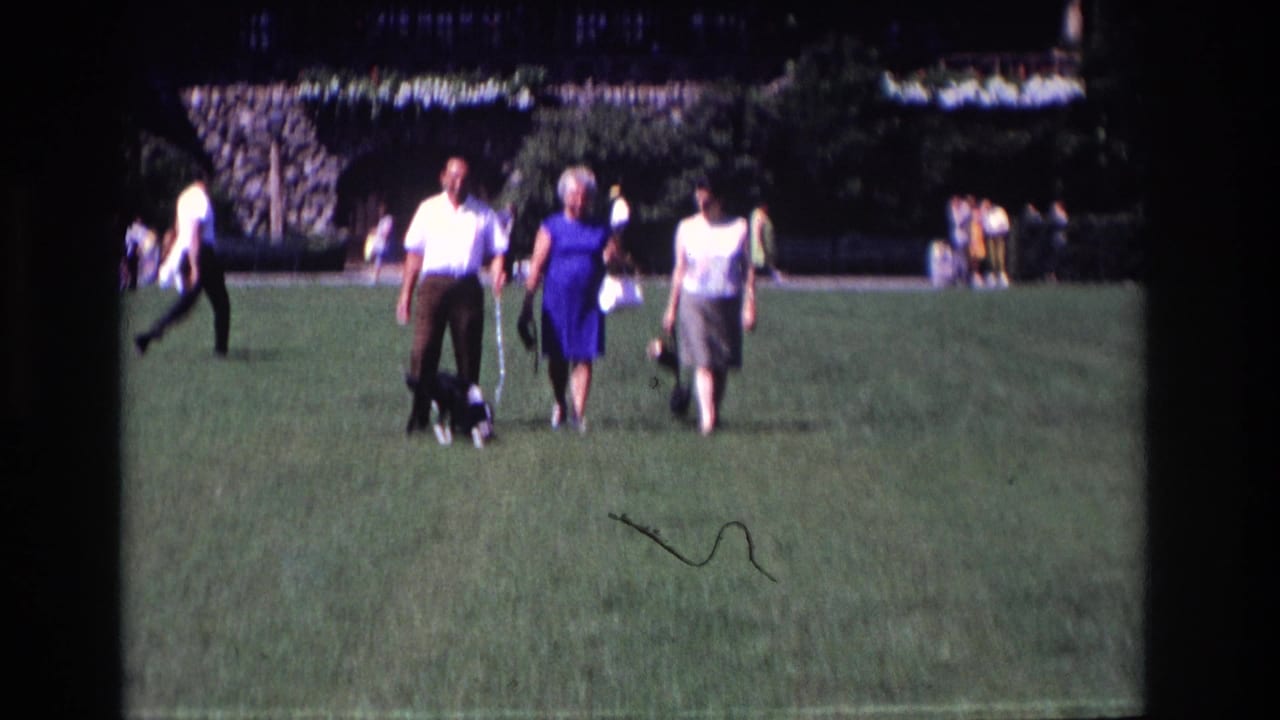 Three adults and a leashed black and white dog walk closer across the grass.