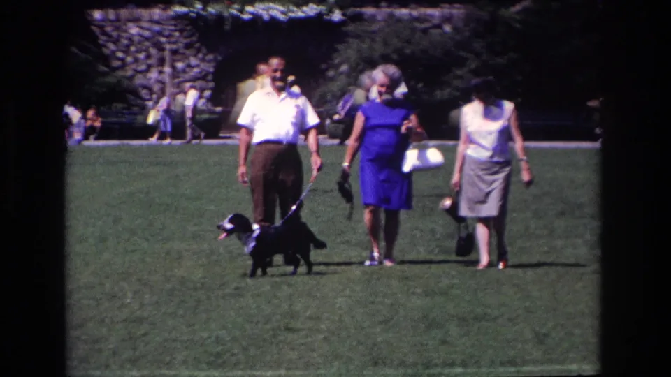 The group continues across the lawn with the leashed dog, with a stone building and other visitors behind them.