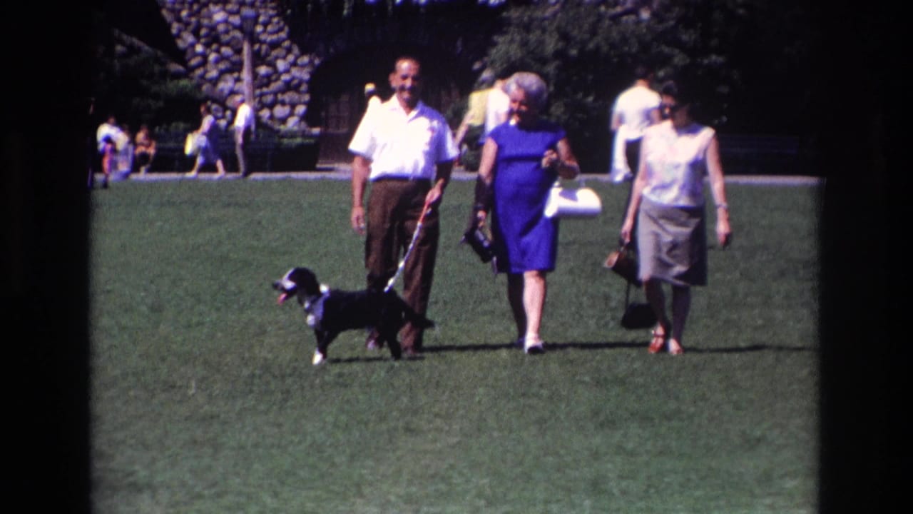 Three adults walk a small black-and-white dog across a grassy park.