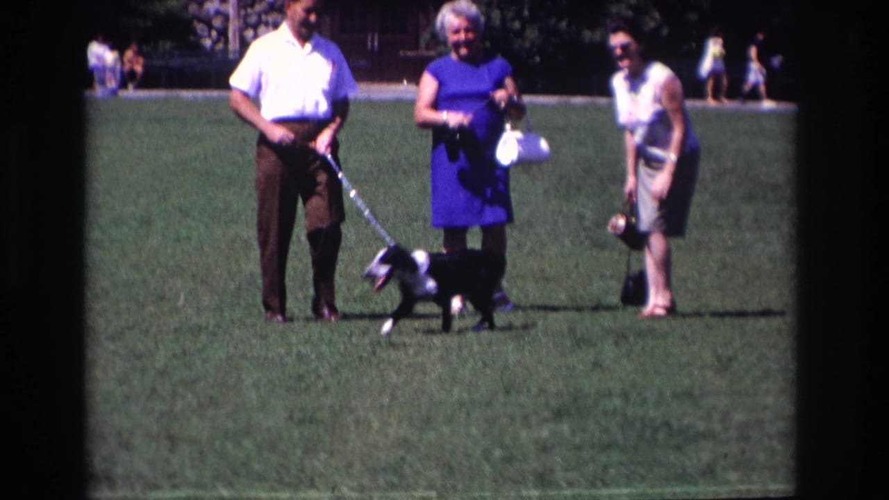 Three adults stand on grass while a small dog moves at the end of a leash.