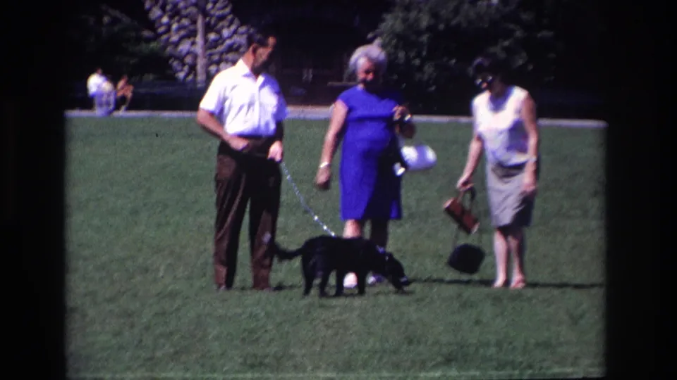 Three adults in late-1960s dress appear to pause in a grassy park while the leashed dog sniffs near their feet.