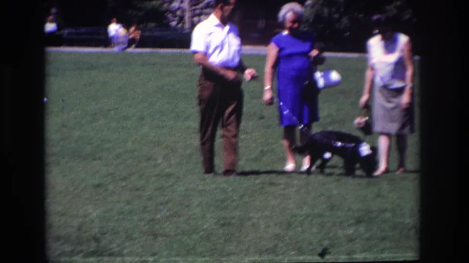 The park scene continues with the leashed dog close to the adults, framed by dark 8mm reel borders and soft color.