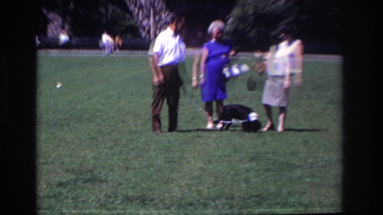 In 1968 Ocean City, New Jersey home-movie footage, two women and a man stand on a sunny lawn as a small dog pauses low to the grass.
