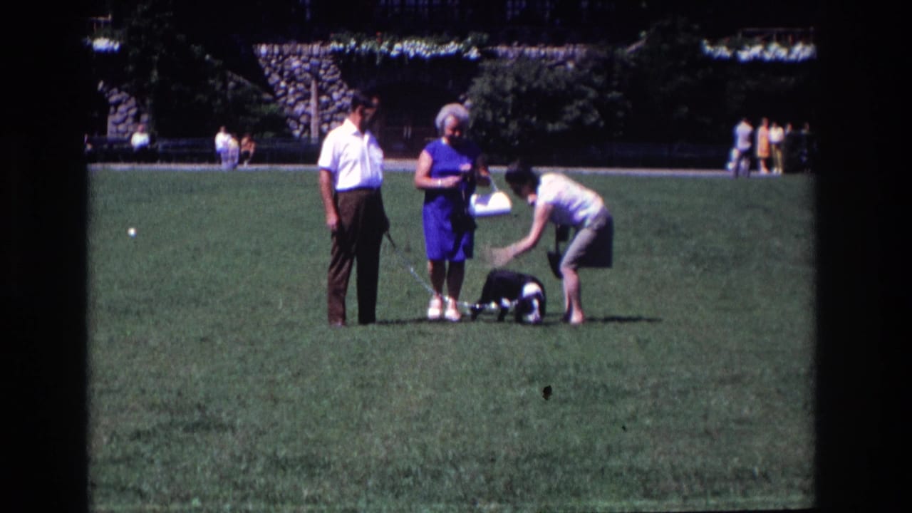 A woman bends toward a small dog while a man and another woman stand nearby on the grass.