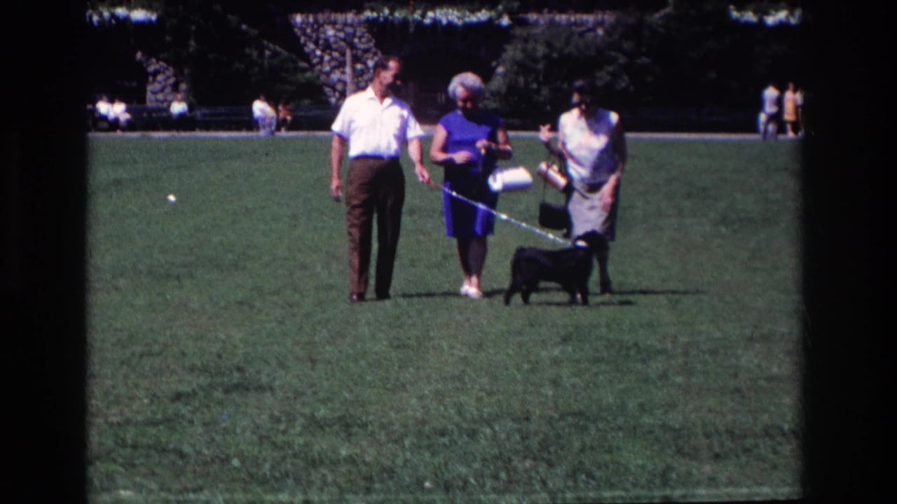 The group stands in a sunlit Ocean City park as the small black dog moves on its leash beside them.