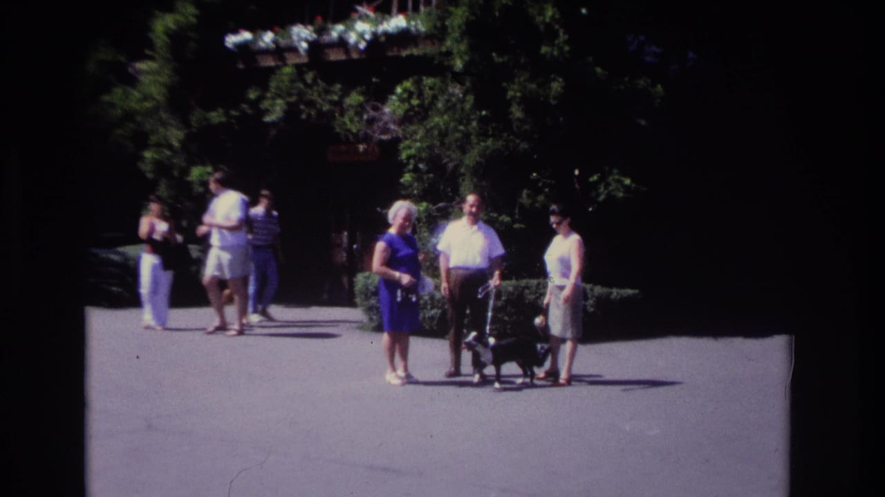 Adults stand and walk on a paved path near greenery with a black dog on a leash.