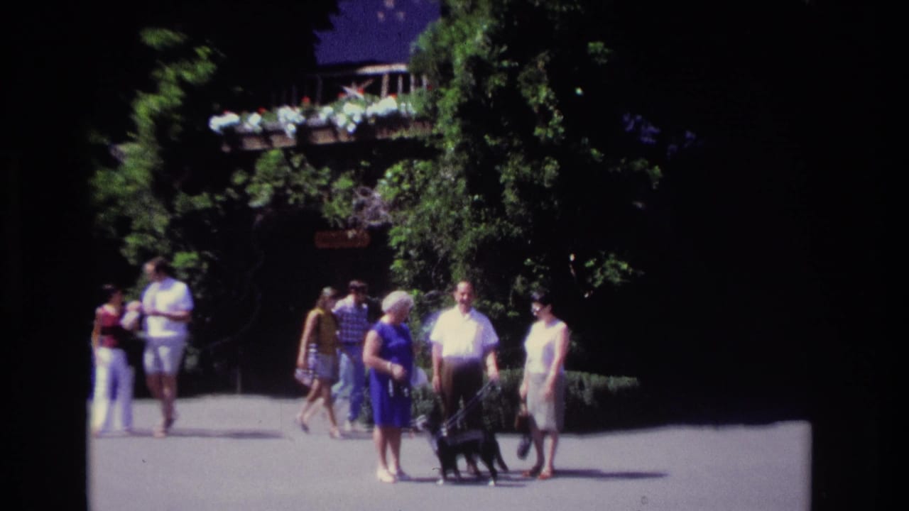 Several adults walk past trees and a large house while one person holds a black dog.
