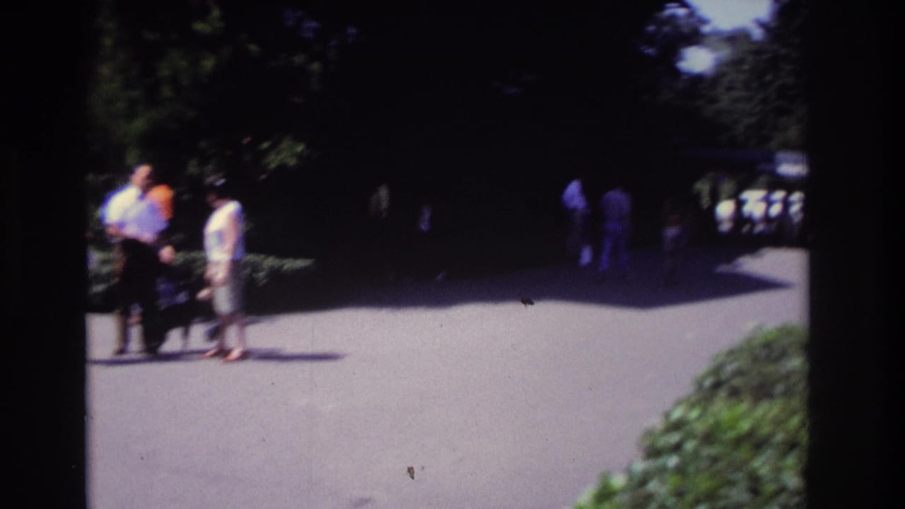 Small group of adults standing on a paved path beside trees and low greenery.