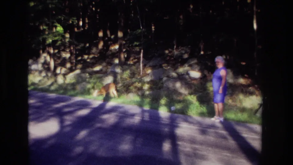 1968 home-movie frame showing a woman in a blue dress standing on a shaded road while a deer grazes near trees.