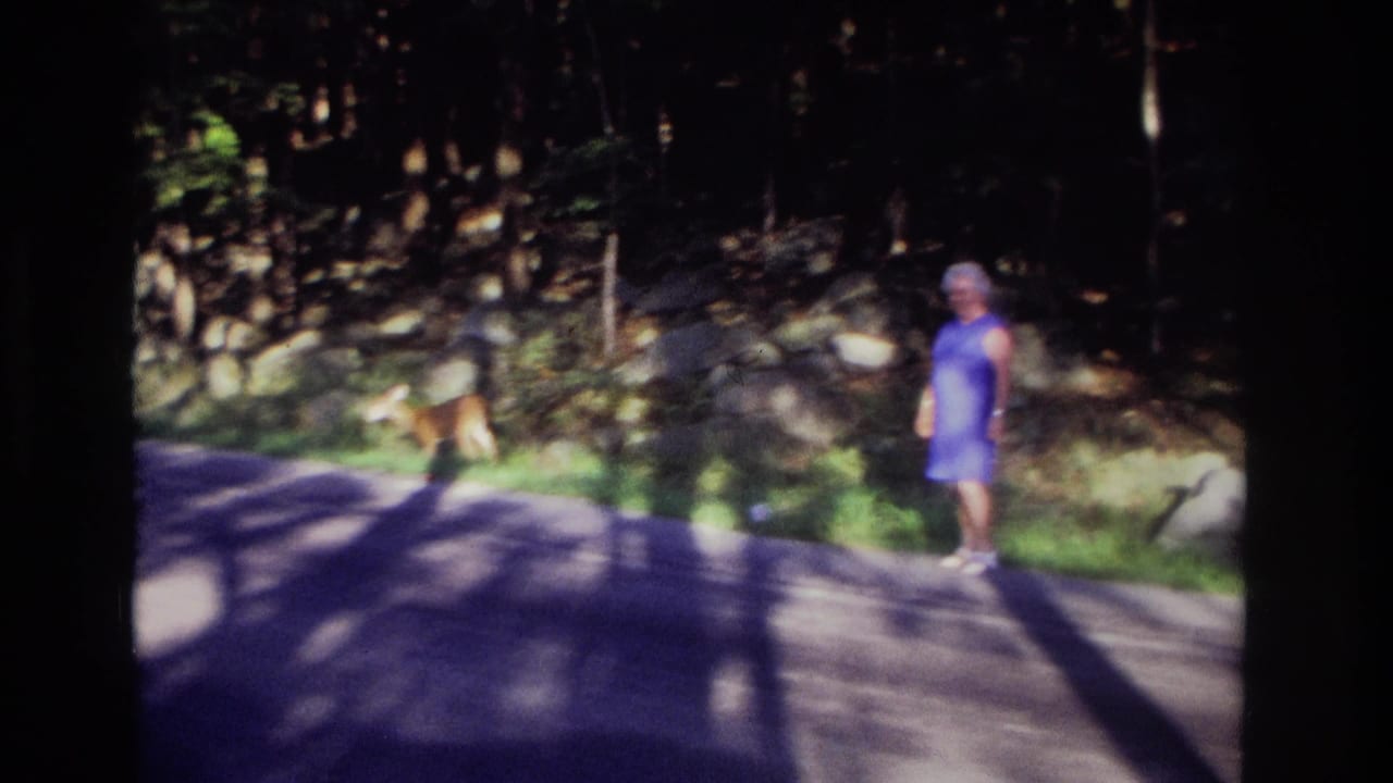 1968 Ocean City, New Jersey home-movie frame showing an older woman in blue watching a deer at a wooded roadside.