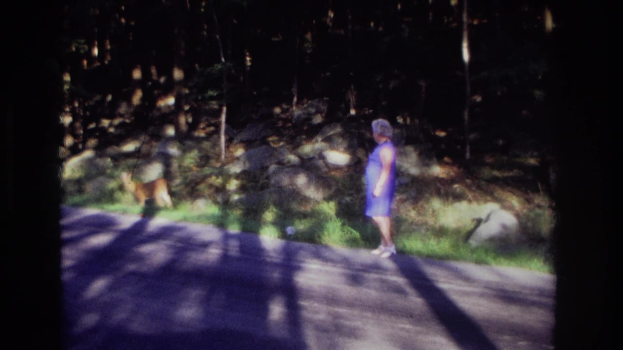 1968 Ocean City, New Jersey frame with a woman in a blue dress watching a deer along a shaded roadside verge.