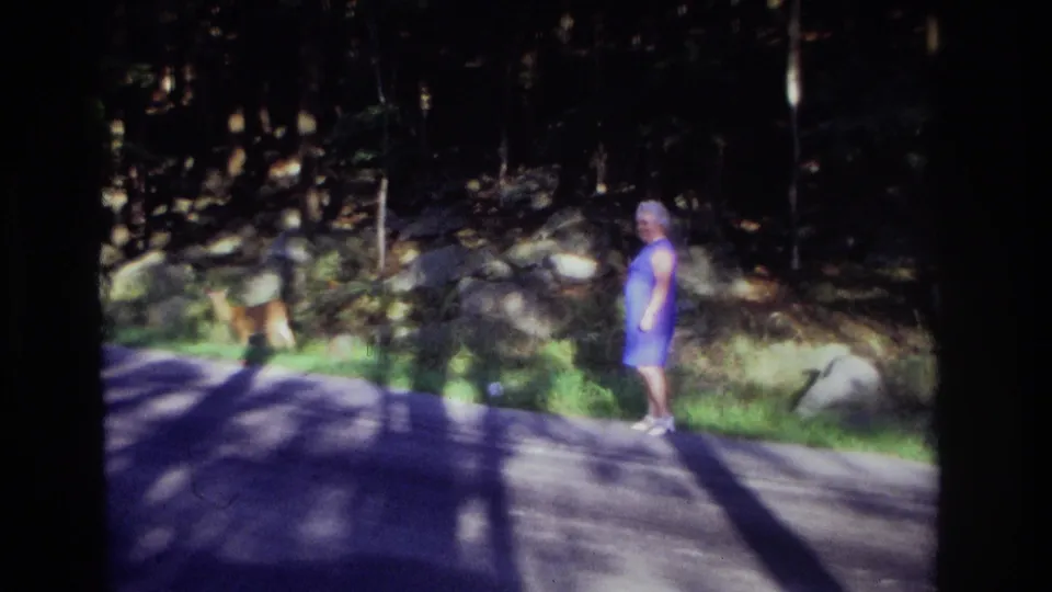 Soft 8mm frame from Ocean City, New Jersey in 1968 showing a roadside deer and an older woman watching from a few steps away.