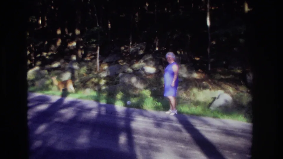 1968 Ocean City, New Jersey home-movie still of a woman in blue standing near a road while a deer remains by the grass and trees.