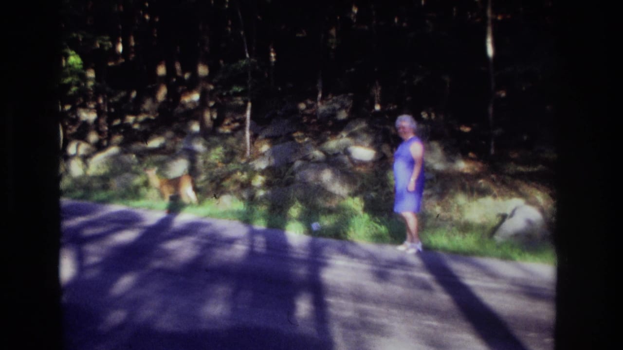 Woman in a blue dress stands beside a wooded road while a deer walks nearby.