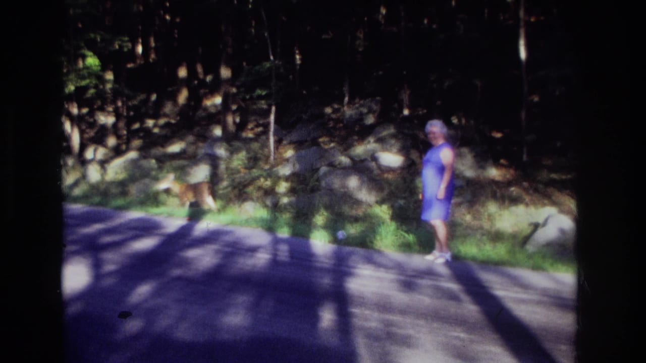 1968 Ocean City, New Jersey roadside frame with a woman in blue and a deer near rocks and trees in dappled light.