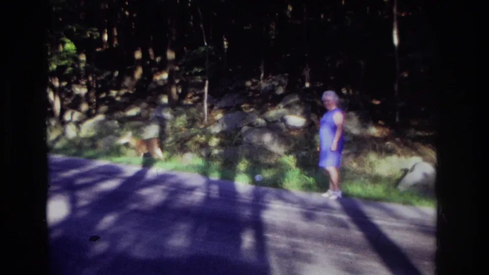 1968 Ocean City, New Jersey roadside frame with a woman in blue and a deer near rocks and trees in dappled light.