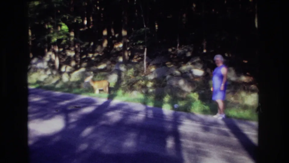 1968 Ocean City, New Jersey frame showing a deer on the grassy road edge and a woman standing under trees nearby.