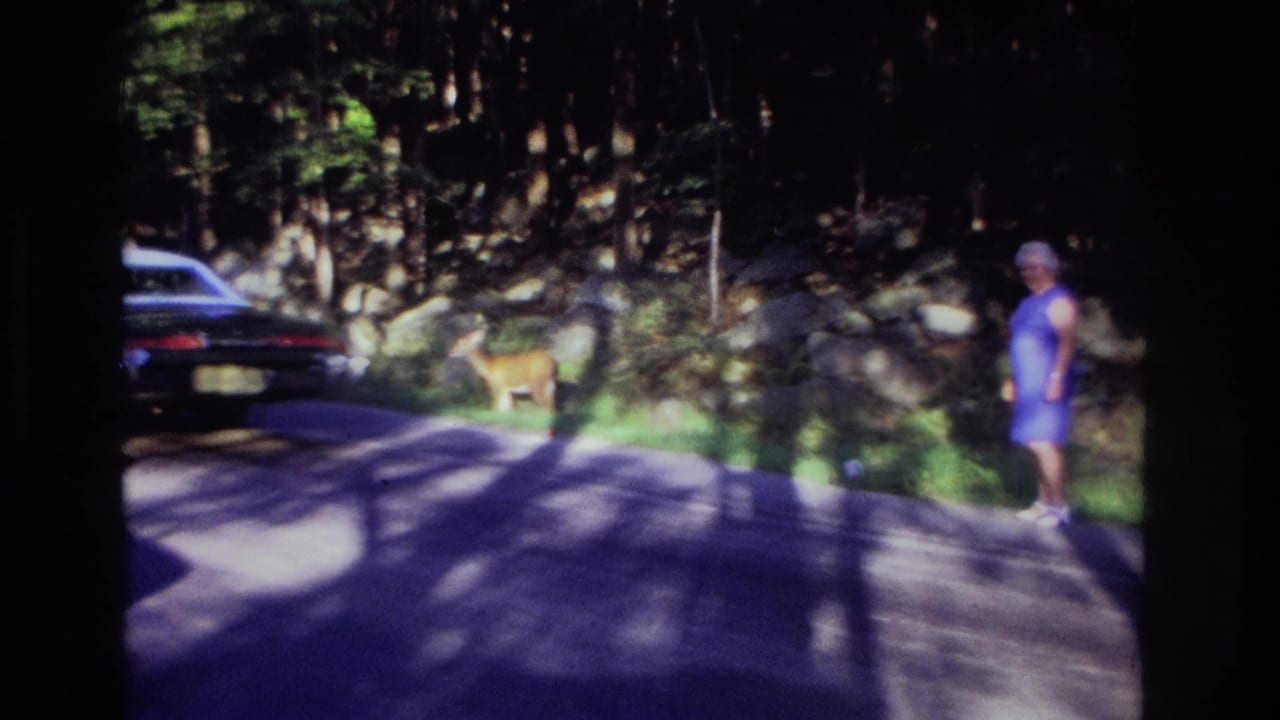 Woman in a blue dress stands near a roadside while a deer and dark car appear nearby.
