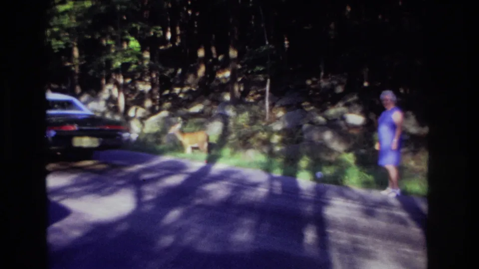 1968 Ocean City, New Jersey home-movie frame with a woman by a wooded roadside, a deer on the grass, and a dark classic car at left.