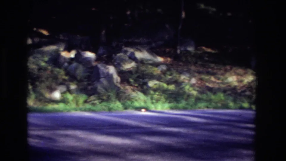 The roadside area in the Ocean City, New Jersey home movie shows asphalt, grass, rocks, and trees after the deer has moved out of frame.
