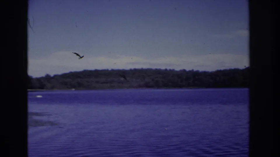 1968 Ocean City, New Jersey home-movie frame showing open blue water, distant wooded shoreline, and a small bird or film mark near the sky.