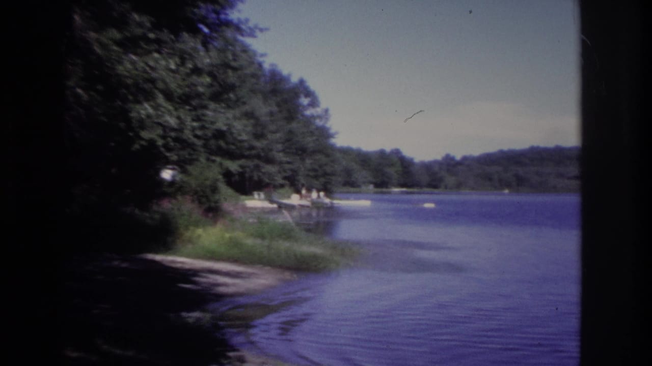 Wooded lakeshore with calm blue-purple water, small boats, and dock activity at left.