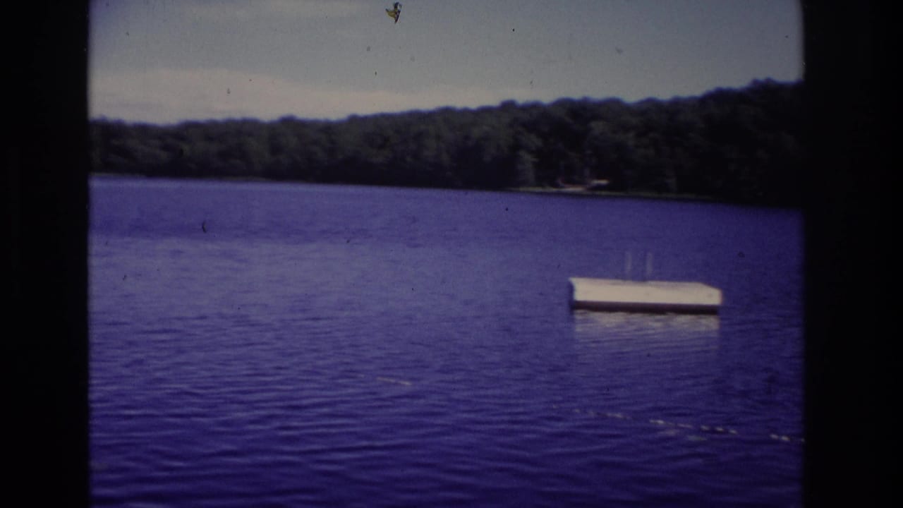 Lake surface with distant trees and a white floating platform near the right side.