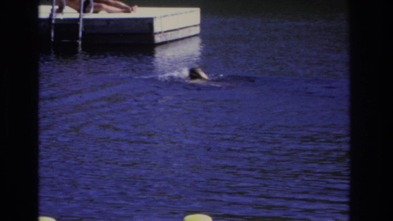 Ocean City, New Jersey 1968 frame with a small monkey swimming in blue water near a dock and partially seen person.