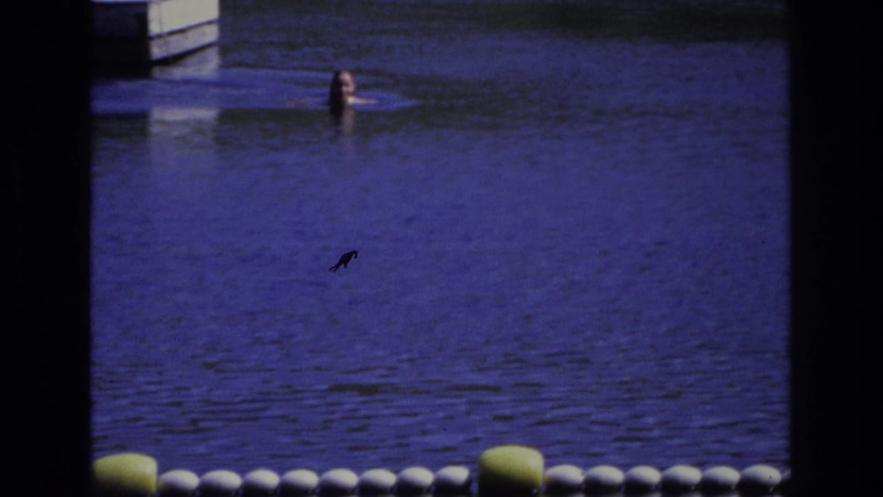 Distant swimmer in blue water beyond a line of white and yellow buoys.