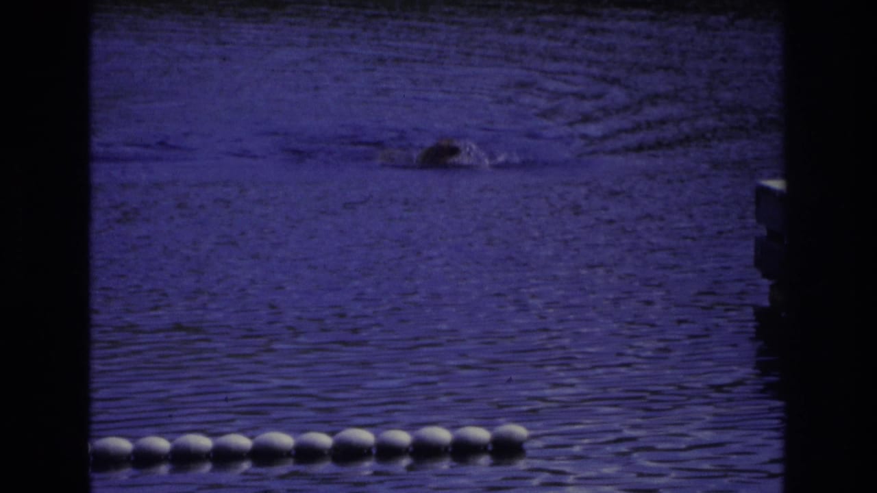 Blue-tinted 8mm frame from Ocean City showing a distant swimmer and white buoys across rippled water.