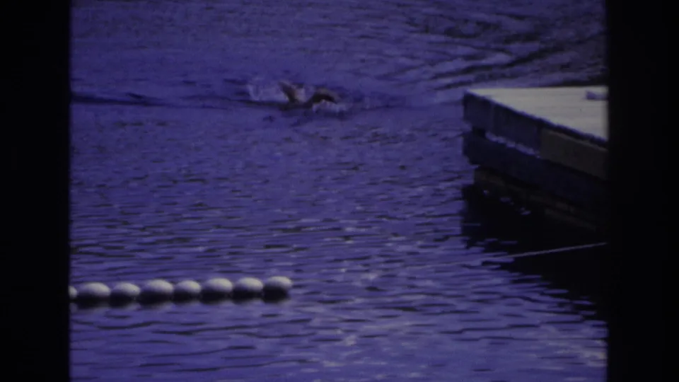 Ocean City 1968 home-movie frame showing a swimmer splashing near a dock, with white buoys across the lower water.