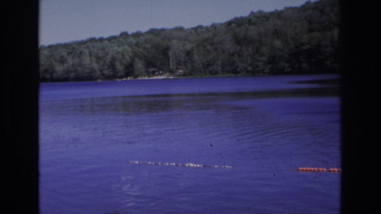 Lake water with a wooded far bank and a line of swim buoys near the surface.