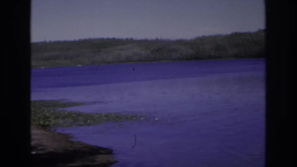 The 8mm frame shows the lake edge with vegetation in the foreground, open water, and wooded hills beyond.