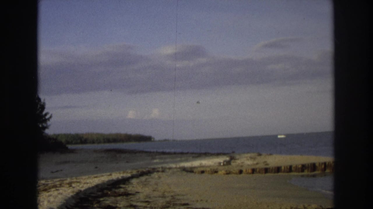 Sandy beach and ocean shoreline with trees in the distance.