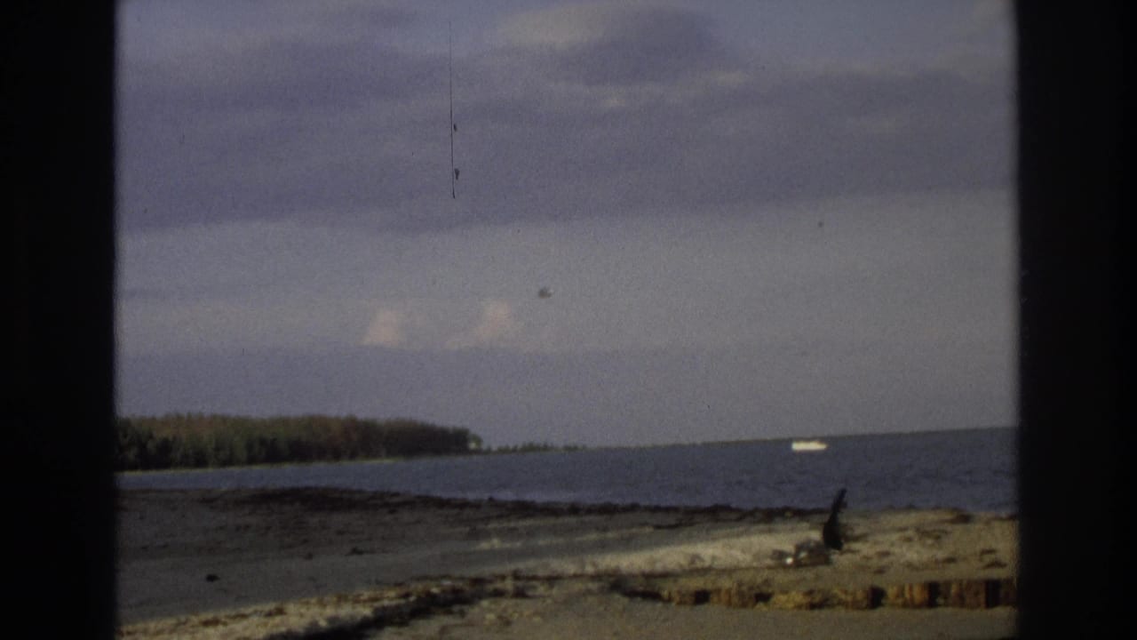 Wide beach and ocean view with a distant boat, tree-lined shore, cloudy sky, and dark frame edges.