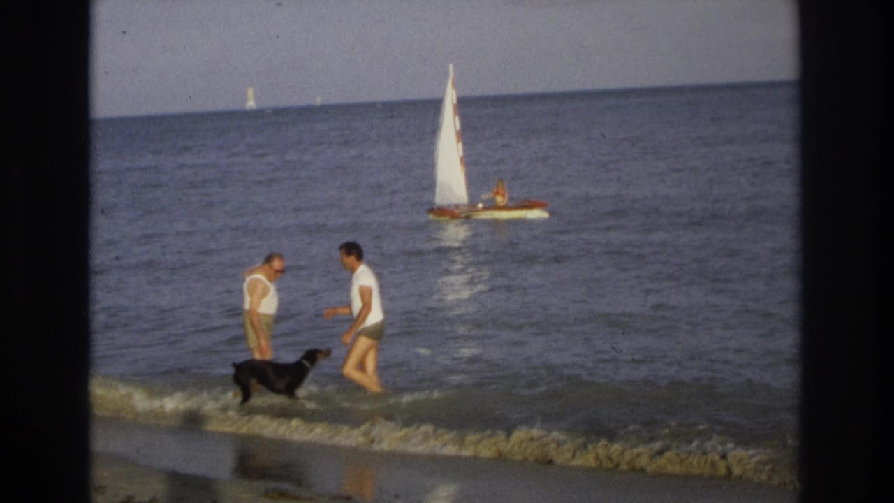 Two adults and a black dog stand in shallow surf with a small sailboat offshore.