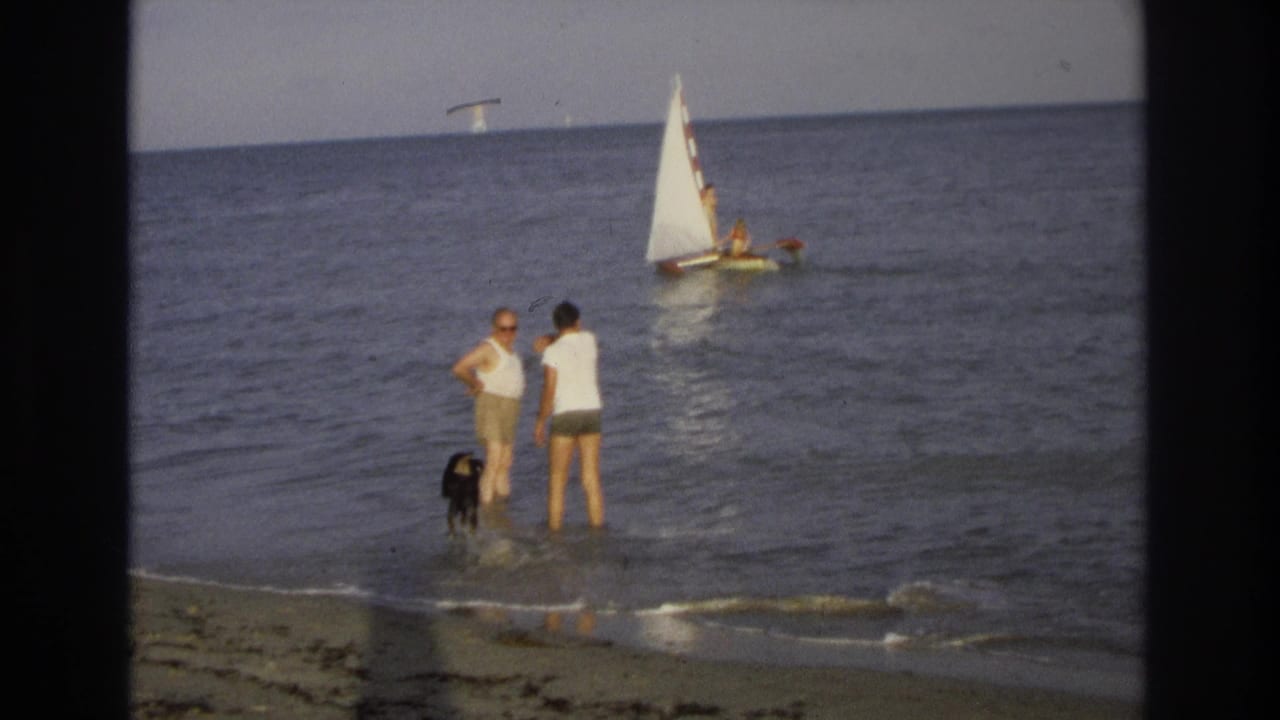 Two adults stand ankle-deep in the water near a black dog, with a sailboat offshore.