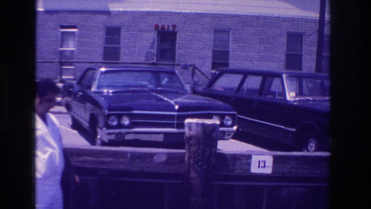 Parked dark sedan and station wagon beside a wooden dock, with a BAIT sign on the building behind them.