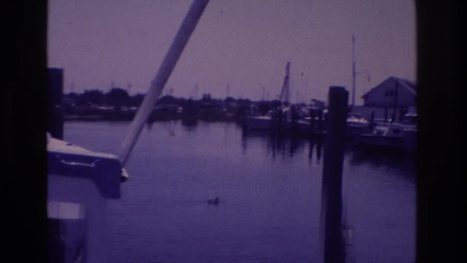 1968 Ocean City bay scene with a duck in the foreground and docked boats beyond wooden pilings in a quiet marina.