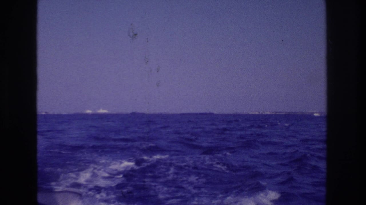 Open water off Ocean City, New Jersey, with boat wake in the foreground and a low distant shoreline beneath a clear blue sky.