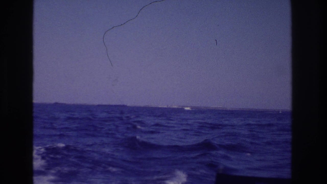 Open sea with rolling waves, a clear sky, and faint land along the horizon.