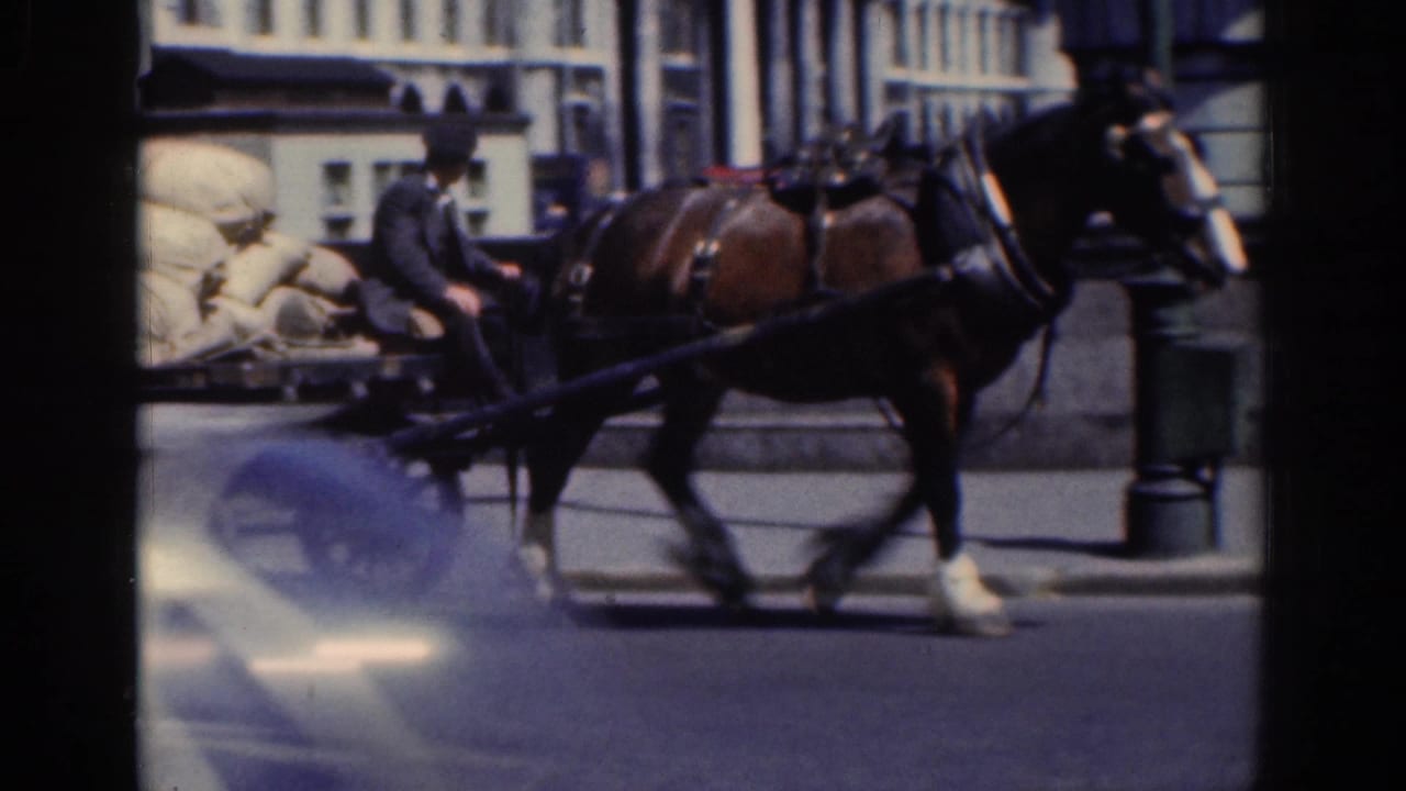Horse-drawn cart carrying sacks moves along a city street near passing traffic.