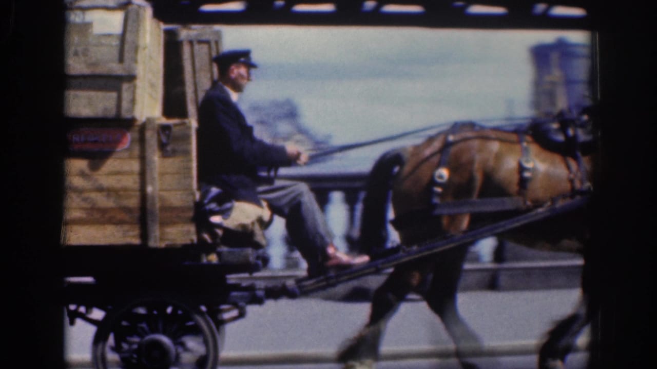 Horse-drawn wooden wagon with a seated driver in dark cap and jacket passes beside the Dublin waterfront railing.