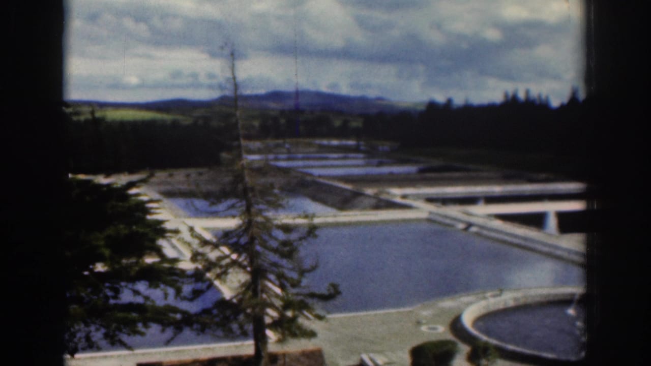 1961 Dublin waterworks scene with a tall foreground tree, rectangular basins, a circular pool, paved paths, and distant countryside.