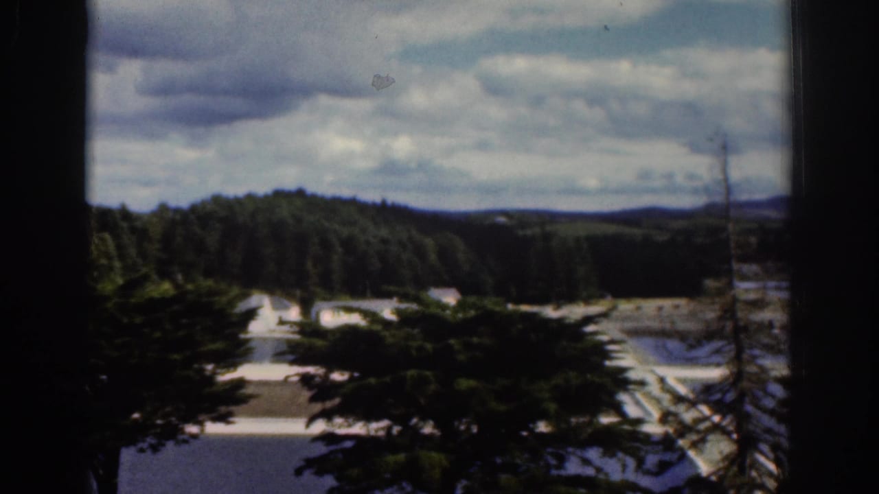 1961 Dublin, Ireland scenery seen through a window, with dark green trees, pale open ground, low hills, and layered clouds.