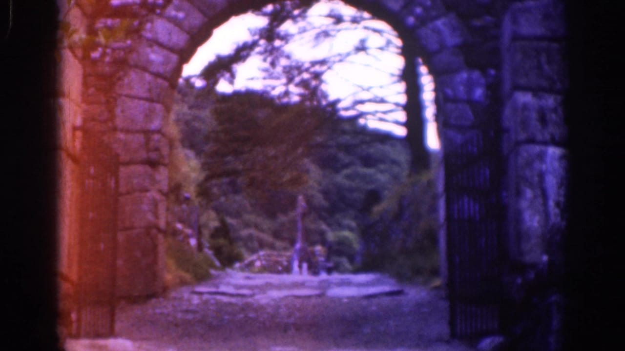 Visitor-shot 8mm view of a stone archway and iron gate looking toward a wooded path in Ireland, 1961.