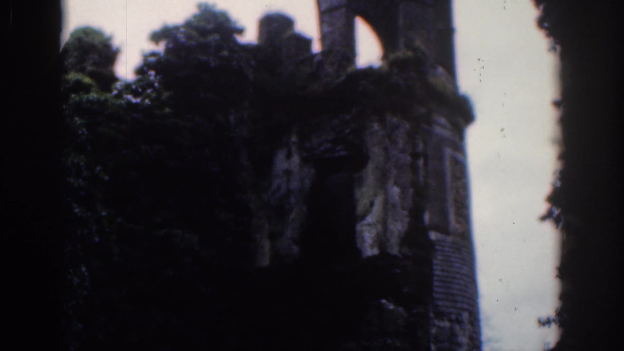 Weathered ruin walls and treetops appear in soft focus under cloudy daylight.