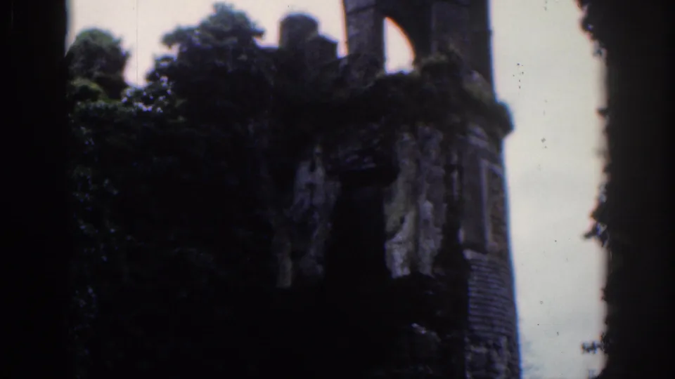 Soft 8mm view of Dublin castle ruins partly obscured by trees and overgrowth in 1961.