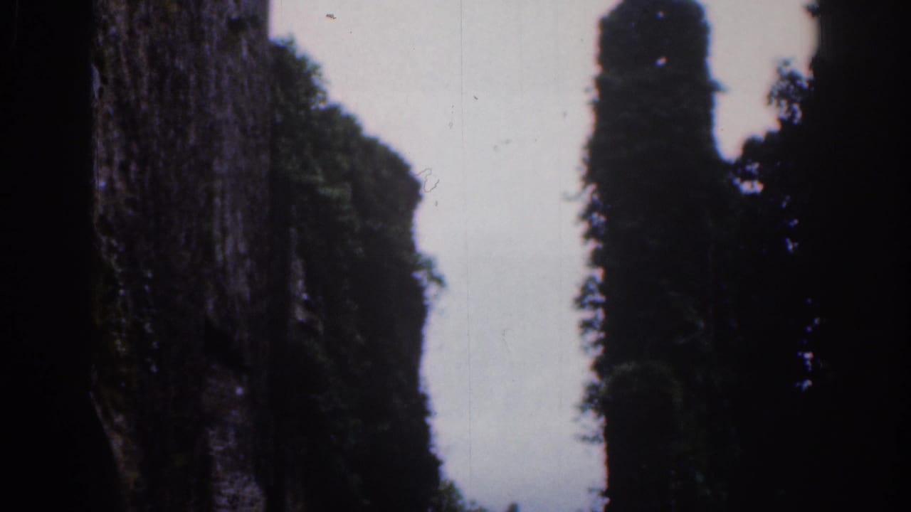 1961 Dublin frame with a close view of rough stonework, tree silhouettes, and cloudy sky.